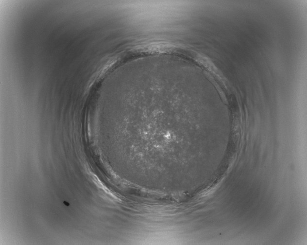 X0000066100585200603171359