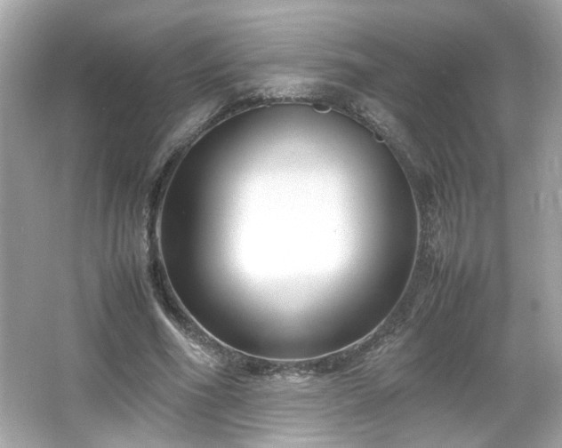 X0000066100586200603171359