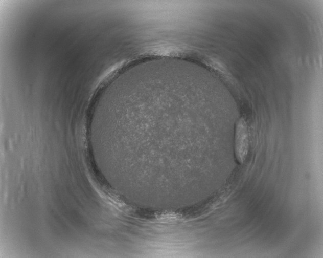 X0000066100587200603171359