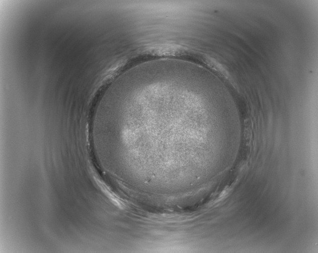 X0000066100589200603171359