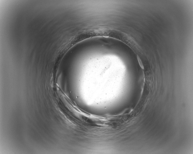 X0000066100593200603171359