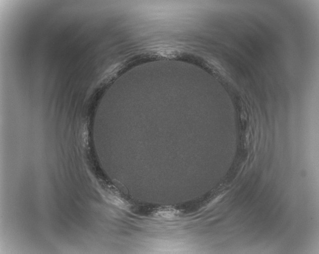 X0000066100595200603171359