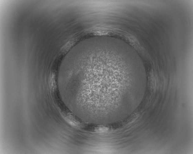 X0000066100598200603171359