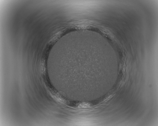 X0000066100599200603171359