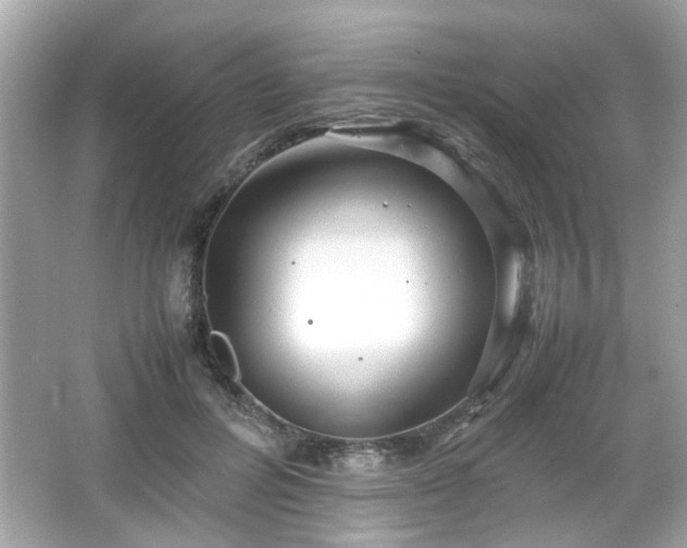 X0000066100600200603171359