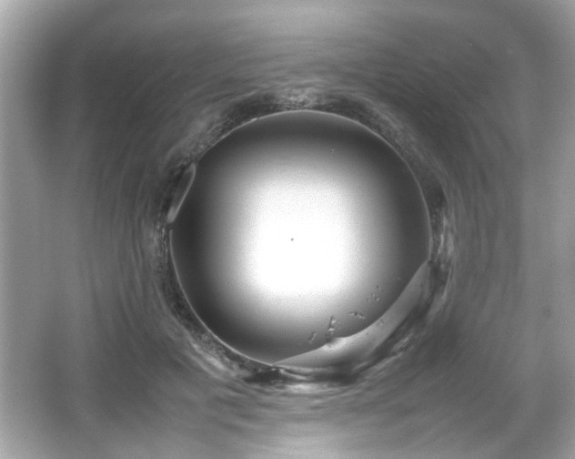 X0000066100601200603171359