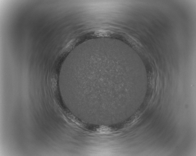 X0000066100603200603171359