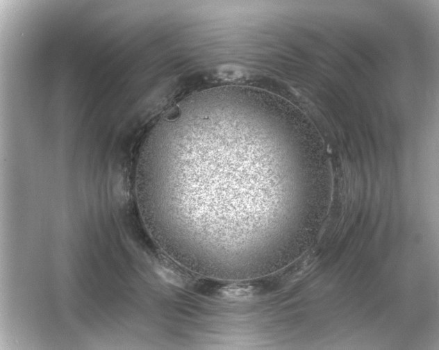 X0000066100606200603171358