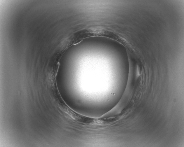 X0000066100609200603171358