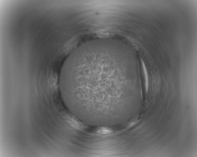 X0000066100610200603171358