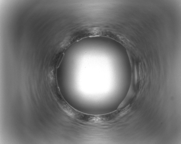 X0000066100611200603171358