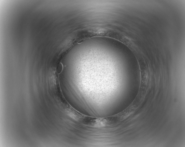 X0000066100612200603171358