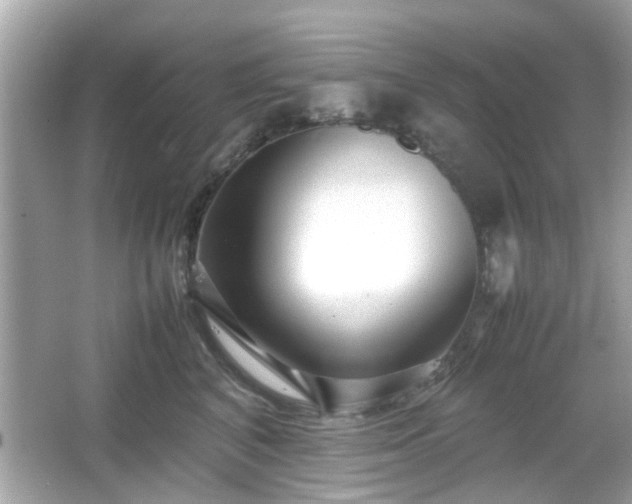 X0000066100616200603171358