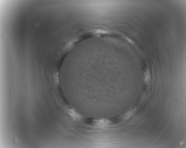 X0000066100621200603171358