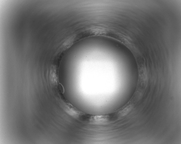 X0000066100622200603171358