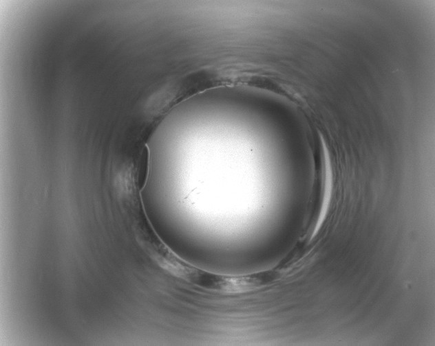 X0000066100623200603171358