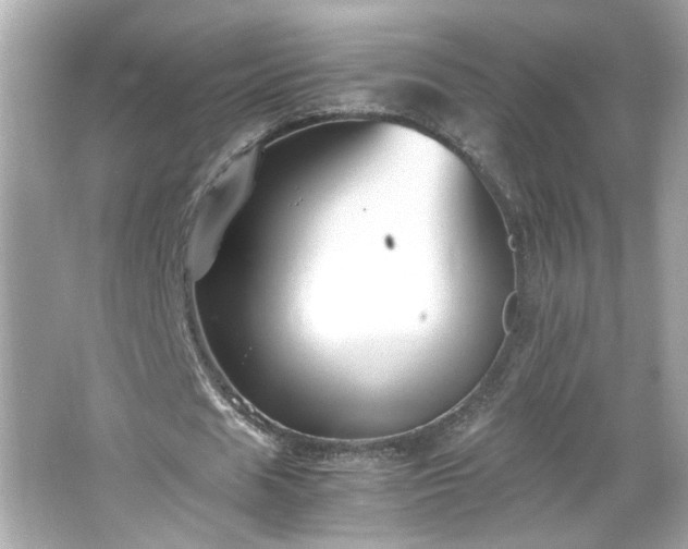 X0000066100625200603171357