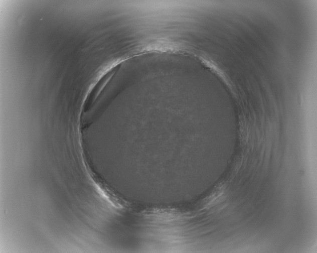 X0000066100626200603171357