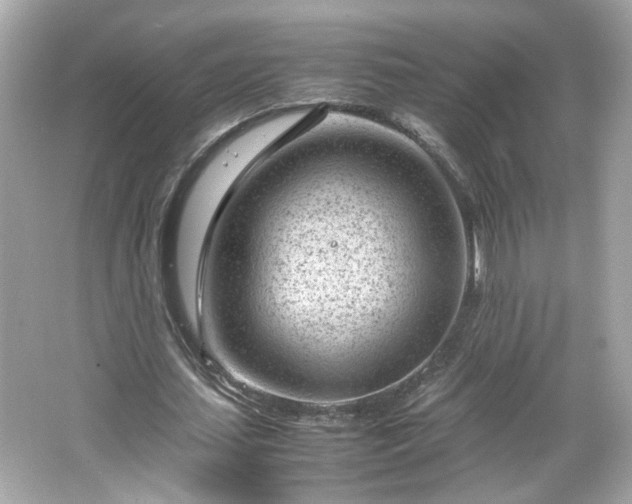 X0000066100627200603171357