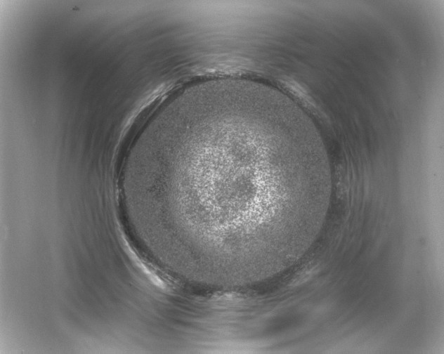 X0000066100634200603171358