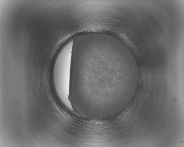 X0000066100640200603171358