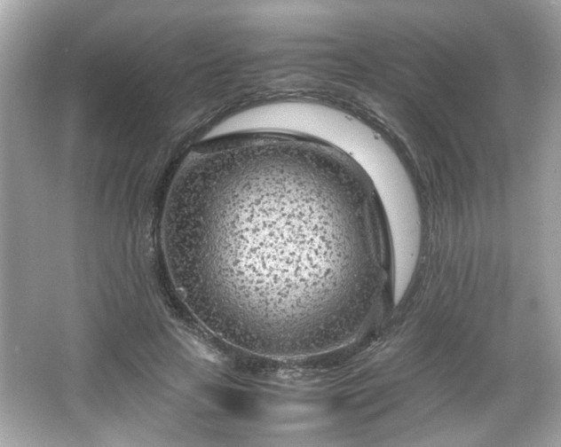 X0000066100641200603171358