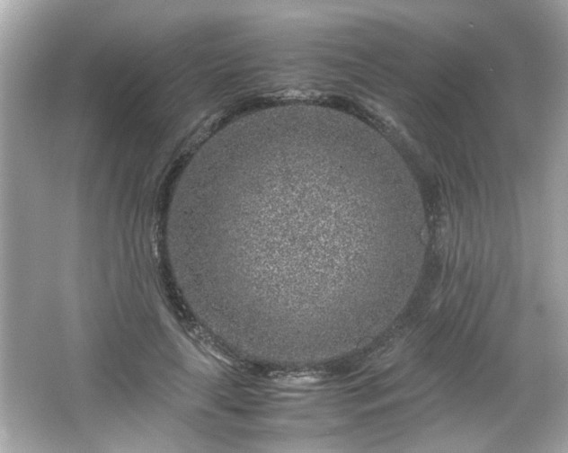 X0000066100643200603171358