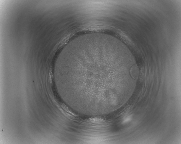 X0000066100644200603171358