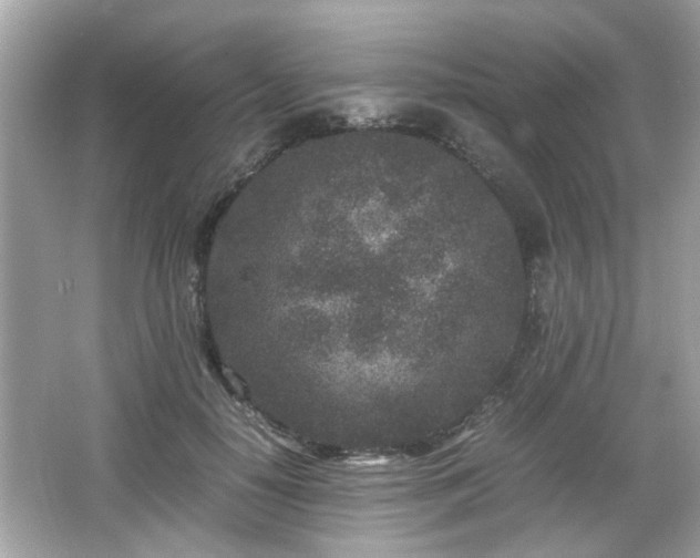 X0000066100650200603171358