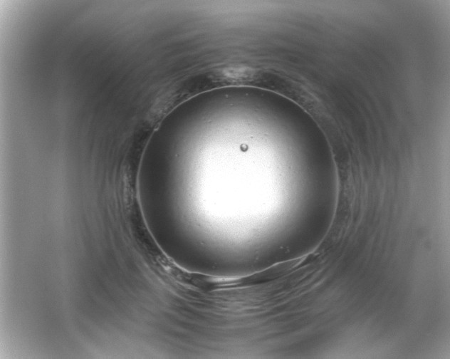 X0000066100651200603171358