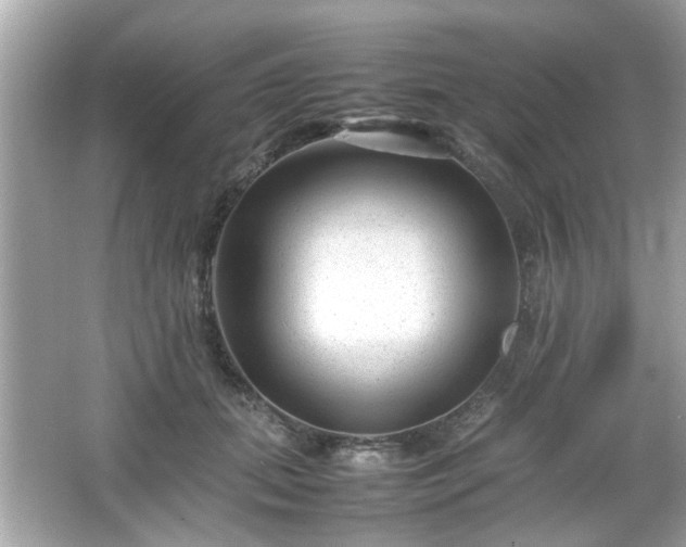 X0000066100655200603171358