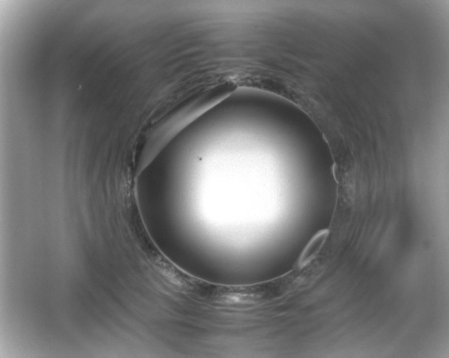 X0000066100657200603171358