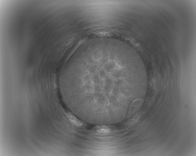 X0000066100658200603171358