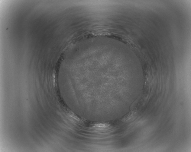 X0000066100659200603171358