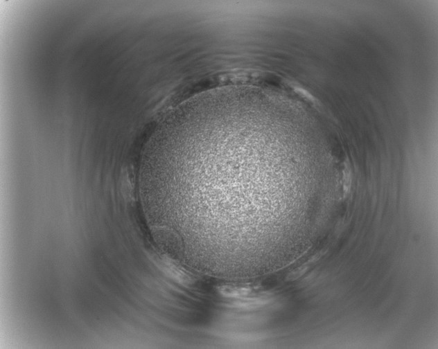 X0000066100661200603171358