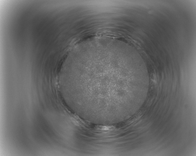 X0000066100663200603171358