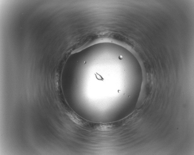 X0000066100664200603171358