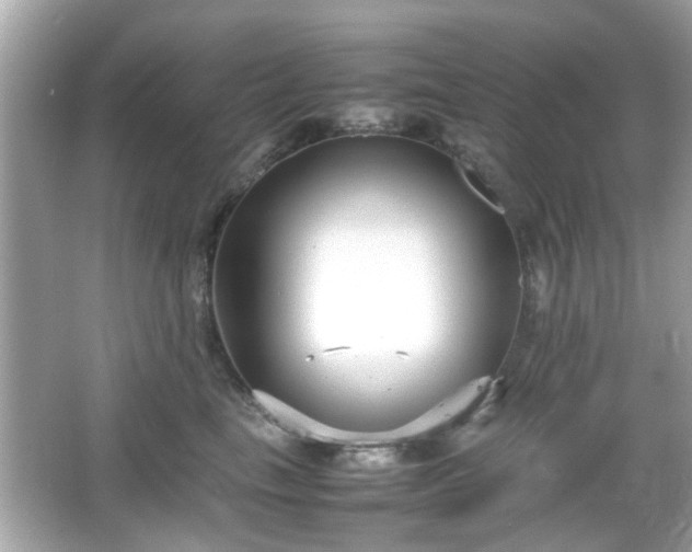 X0000066100665200603171358