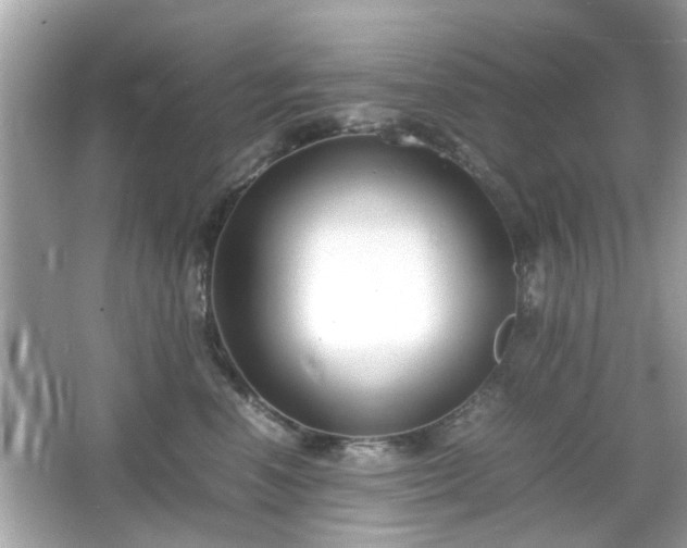 X0000066100666200603171358