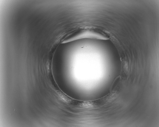 X0000066100668200603171358