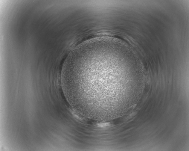 X0000066100669200603171358