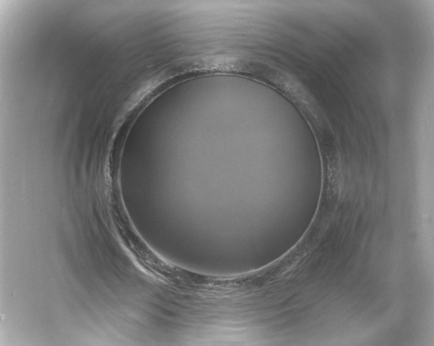 X0000066100674200603171357