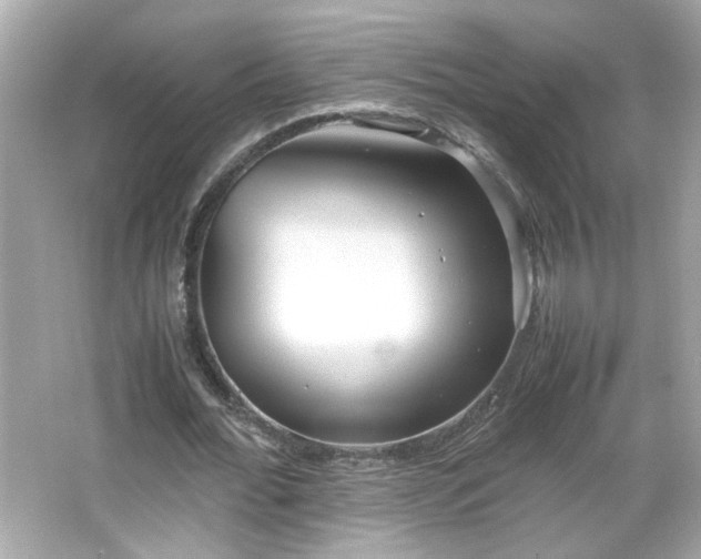 X0000066100676200603171357