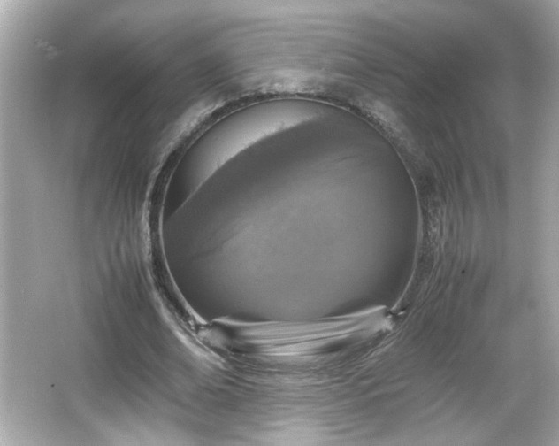 X0000066100678200603171357