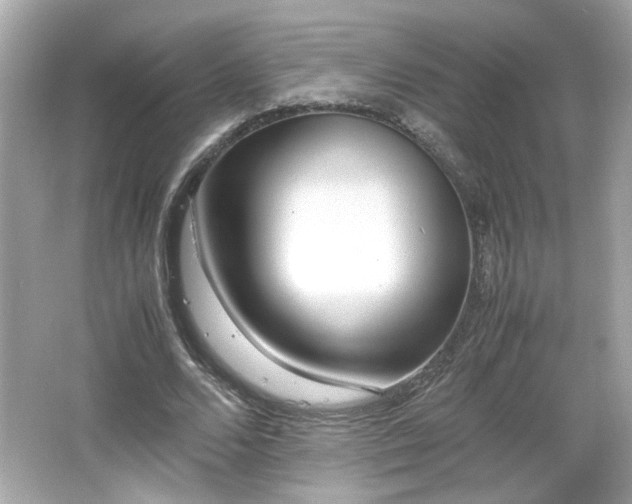 X0000066100680200603171357