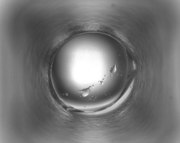 X0000066100681200603171357