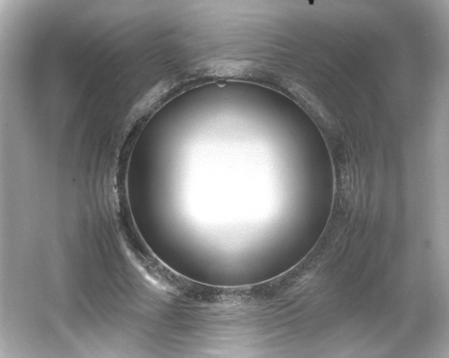 X0000066100682200603171357