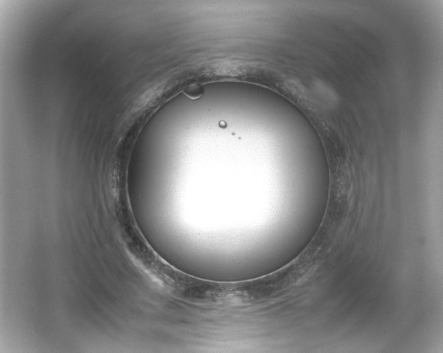 X0000066100683200603171357