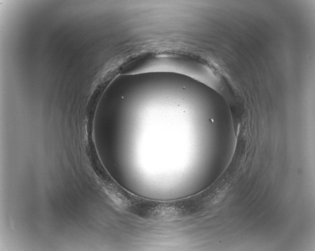 X0000066100685200603171357