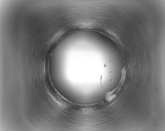 X0000066100686200603171357